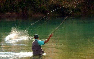 Curso de Pesca con Mosca